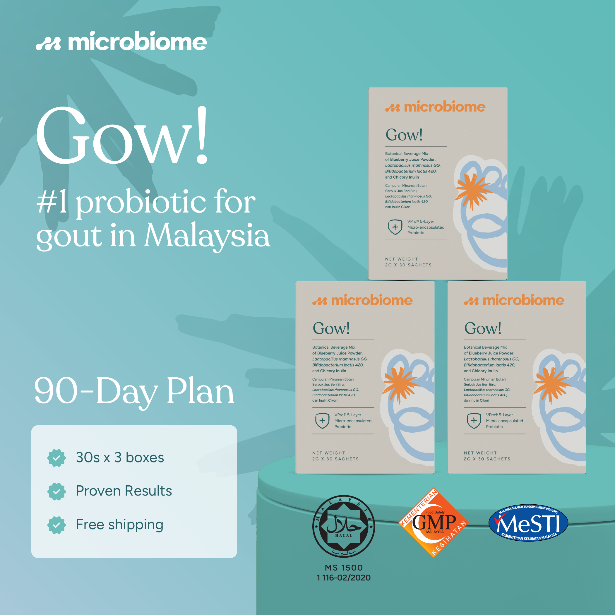 Gow! 90-Day Plan (30s x 3)